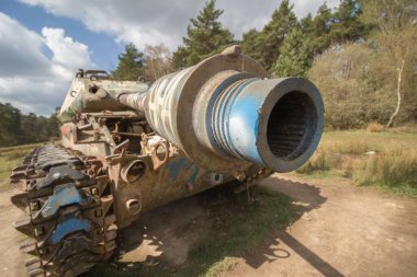 Ormandaki terk edilmiş bir askeri tankın seçici odak noktası.