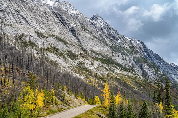 Όμορφο Φθινοπωρινό Τοπίο Πολύχρωμα Δέντρα Και Βουνά Καναδικός Χαρακτήρας — Φωτογραφία Αρχείου