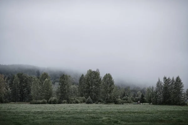 Krásný Výhled Mlhavé Hory Zelené Stromy Velké Farmě — Stock fotografie