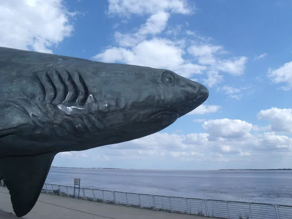 Shark Sculpture Deep Kingston Hull — Stock Photo, Image