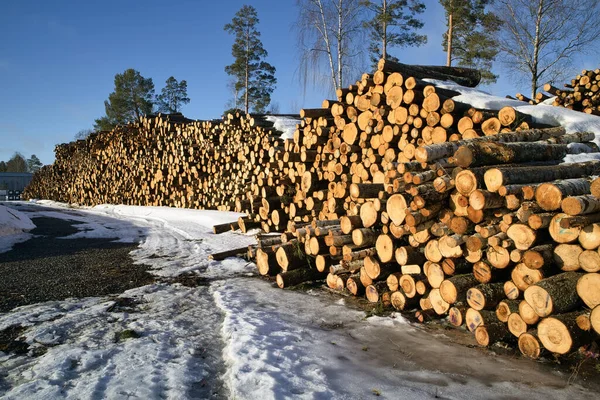 Lång Hög Staplade Trädstammar Redo För Transport Finland Våren — Stockfoto