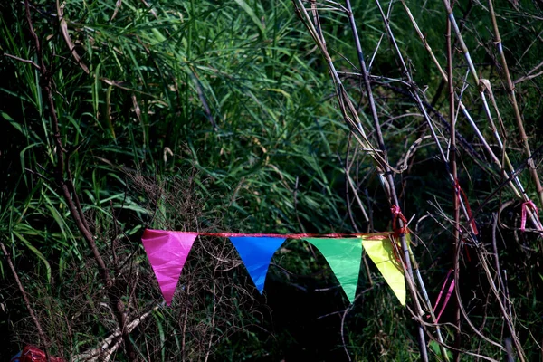 Bandiere Triangolari Colorate Una Corda Parco Con Alberi Sullo Sfondo — Foto Stock