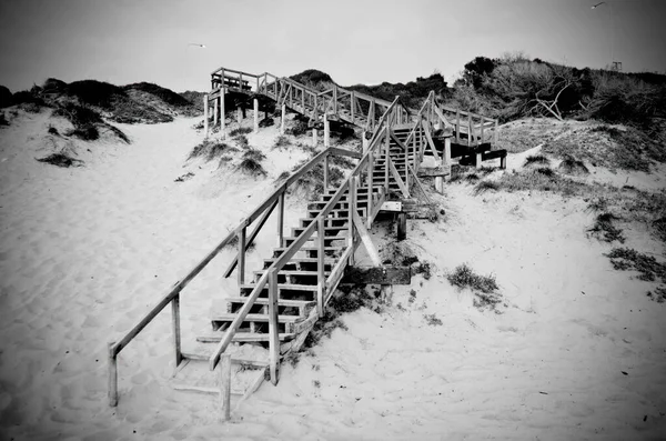 階段のある砂浜のグレースケールビュー — ストック写真