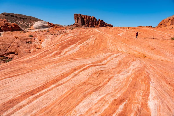 Couleurs Forme Étonnantes Roche Fire Wave Dans Vallée Fire State — Photo