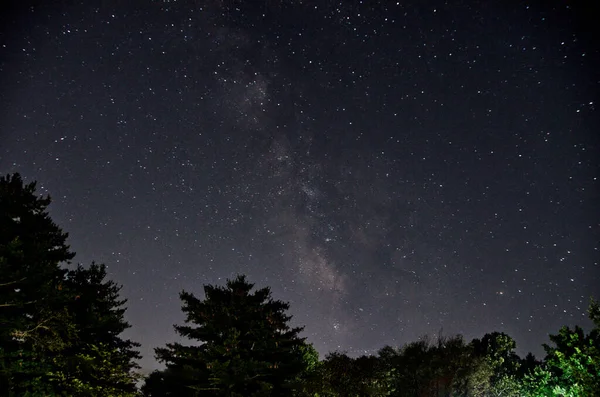 Der Wunderbare Sternenhimmel Aus Dem Wald — Stockfoto