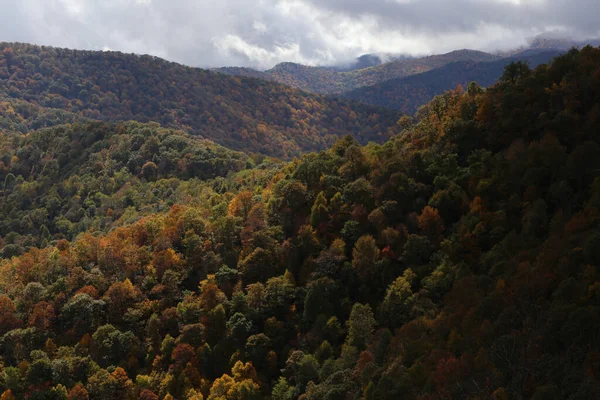 美しい山々の近くの美しい森の空中風景 — ストック写真