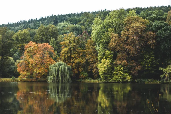 Malebná Krajina Podzimního Hustého Lesa Odrážející Jezeře — Stock fotografie