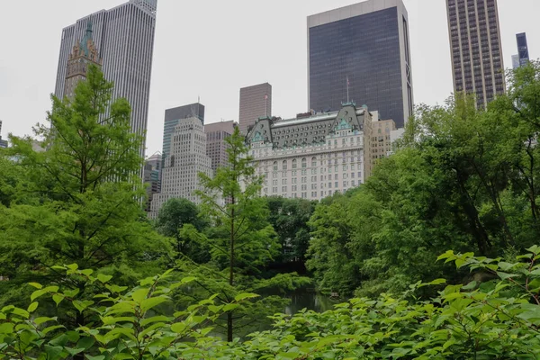 Zelené Stromy Central Parku Proti Manhattanu New York Usa — Stock fotografie