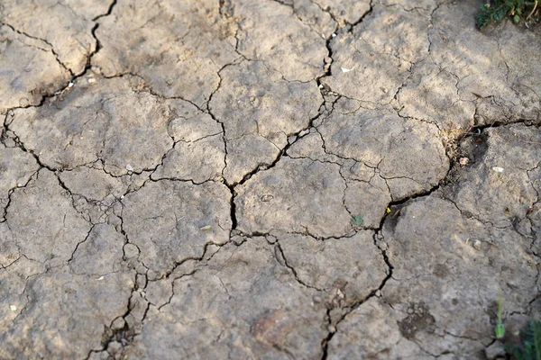 乾いた地面の質感のクローズアップショット — ストック写真