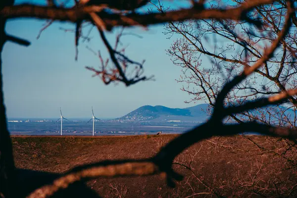 近代的な風車と山 前景に枝を持つ国の風景 — ストック写真