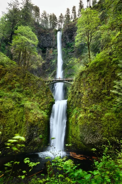 Multnomah Falls 'un Oregon, ABD' deki dikey çekimi.
