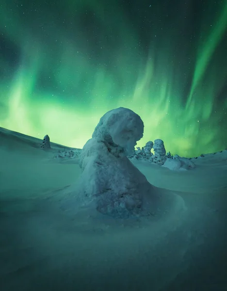 Güzel Aurora Borealis Gökyüzünün Altında Karla Kaplı Bir Tarla — Stok fotoğraf