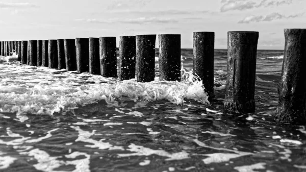 Denizdeki Ahşap Kütüklerden Oluşan Gri Bir Çizgi — Stok fotoğraf