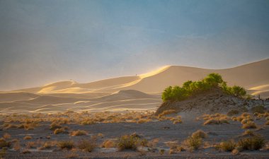 Ölüm Vadisi, Doğu Kaliforniya 'daki kum tepeleri, Mojave Çölü, ABD.