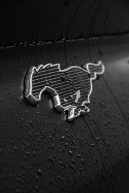 Yağmurda bir Mustang E-Mach 'ın monokrom logosu
