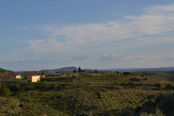 Uma Bela Paisagem Campo Com Árvores Casas — Fotografia de Stock