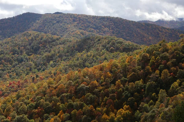 山の近くの美しい森の空中風景 — ストック写真