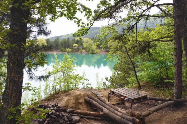 Prachtig Uitzicht Lake Yubileynoe Nabij Alushta Krim Met Boom Breeuwt — Stockfoto