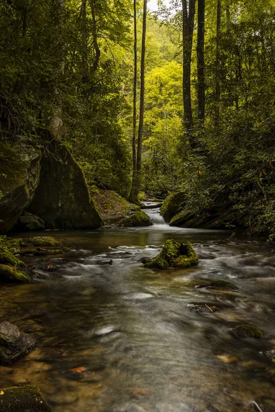 Tiro Vertical Rio Rochoso Fluindo Uma Bela Floresta Verde — Fotografia de Stock