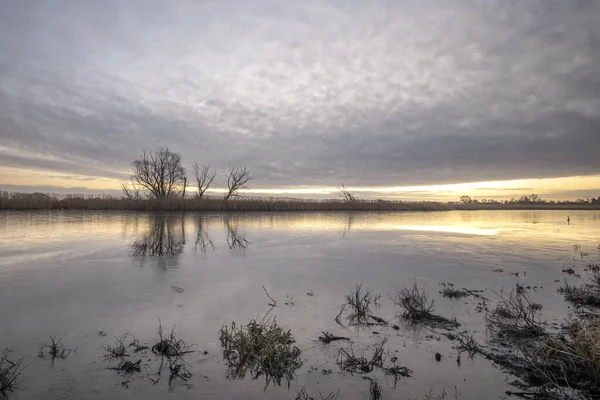 曇り空の下で枯れ木や草が茂る小さな湖の上の夕日 — ストック写真