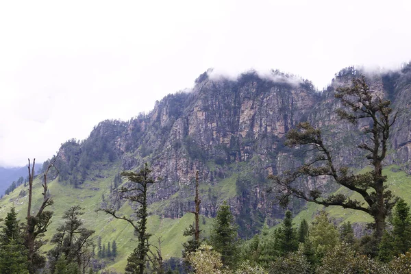 Uma Vista Panorâmica Montanhas Rochosas Com Vegetação Exuberante Fundo Céu — Fotografia de Stock
