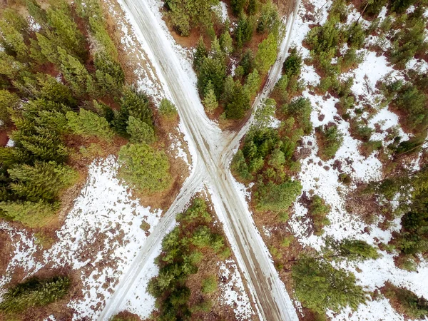 An aerial top view of long crossroads in a forest with long green fir trees