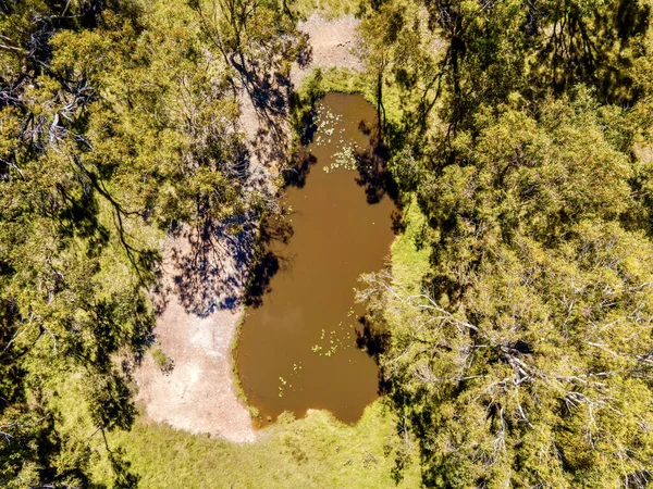 オーストラリア エマビルの緑豊かな緑に囲まれた小さな汚れた湖の空中ショット — ストック写真