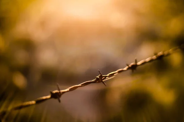 Detailní Záběr Ostnatého Drátu Venku Rozmazaném Pozadí — Stock fotografie