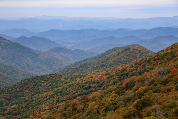 山の近くの美しい森の空中風景 — ストック写真