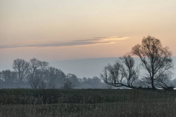 Ağaçların Otların Siluetleriyle Dolu Tarlada Parlak Turuncu Bir Günbatımı — Stok fotoğraf