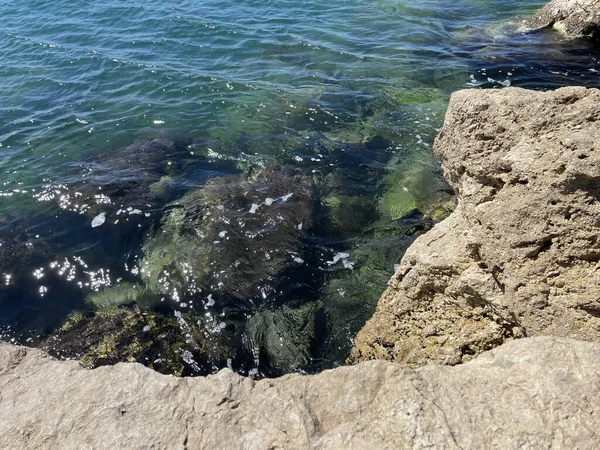 海水中の海草や岩の高角度ショット — ストック写真