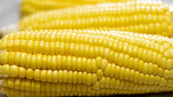 Closeup Shot Fresh Corn Maize White Background — Stock Photo, Image