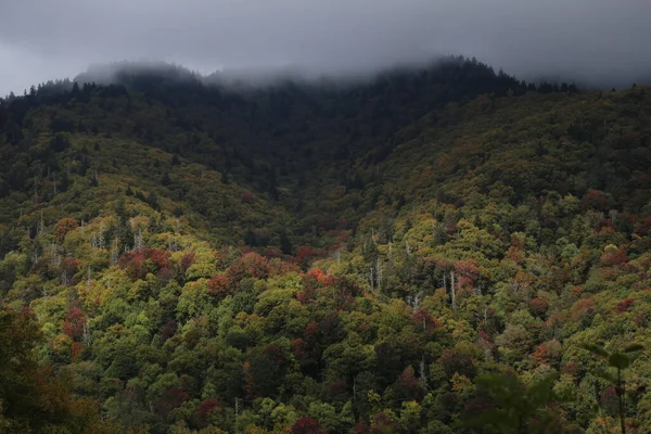 Eine Wunderschöne Landschaft Mit Bunten Dichten Wäldern Einer Bergigen Gegend — Stockfoto