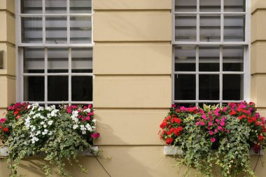 Pencereleri ve saksı çiçekleri olan bir bina.