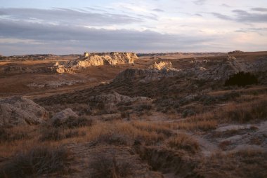 Güneşin batışında, çöldeki kayaların ve sarı çimenlerin güzel manzarası.