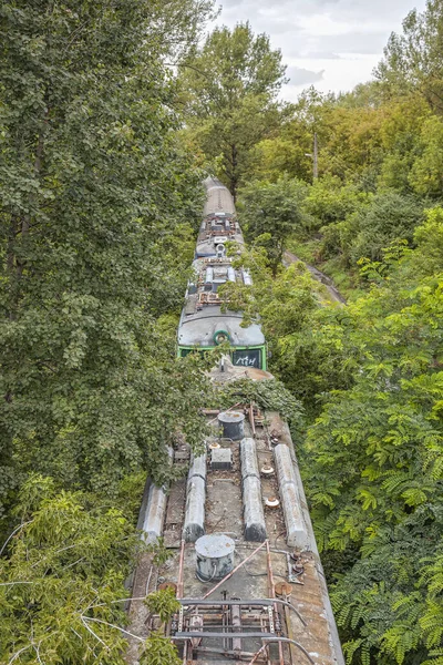 Old Train Overgrown Forest — Stock Photo, Image