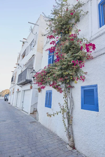 Fasáda Zdobená Květinami Ulici Mojacar — Stock fotografie