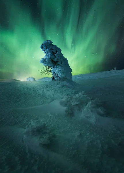 Zasněžené Pole Pod Krásnou Oblohou Aurora Borealis — Stock fotografie