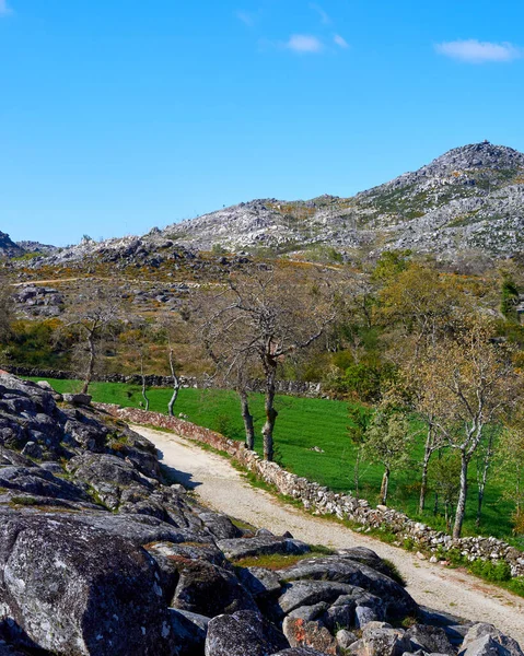 Tiro Vertical Uma Bela Passarela Verde Montanha Arouca Portugal — Fotografia de Stock
