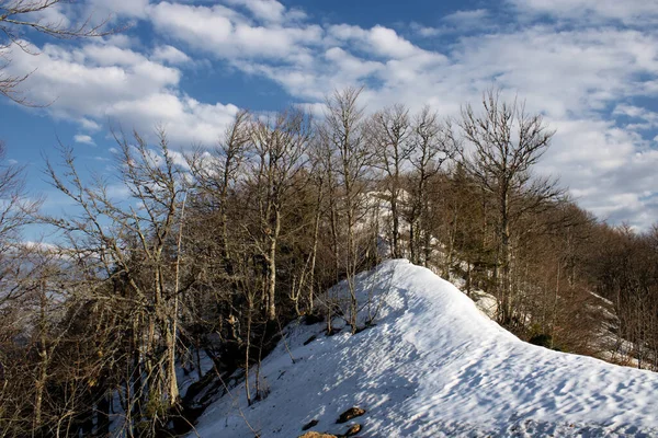 青空を望む雪に覆われた山の景色 — ストック写真