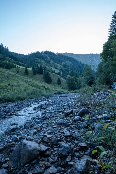 Een Verticaal Schot Van Een Kreek Stroomt Door Allgau Alpen — Stockfoto
