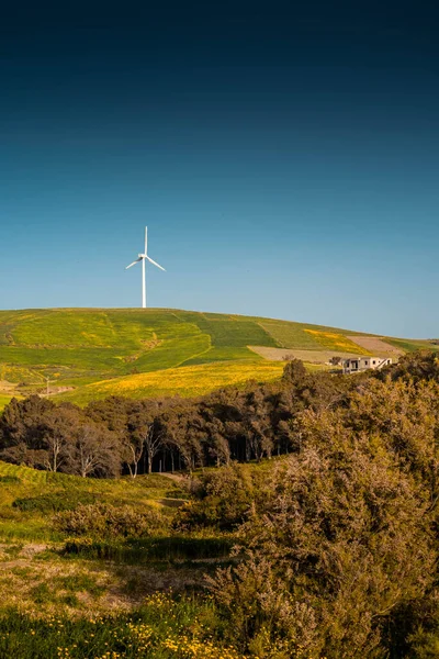 Spring Landscape Windmill Background — Stock Photo, Image