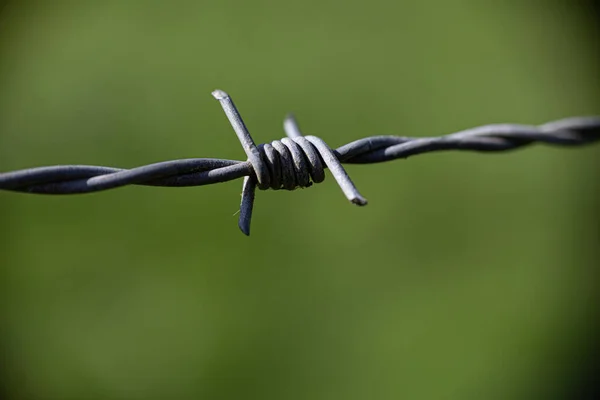 Närbild Taggtråd Grön Bakgrund — Stockfoto