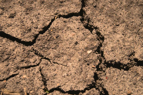 Closeup Shot Texture Dry Cracked Ground — Stock Photo, Image