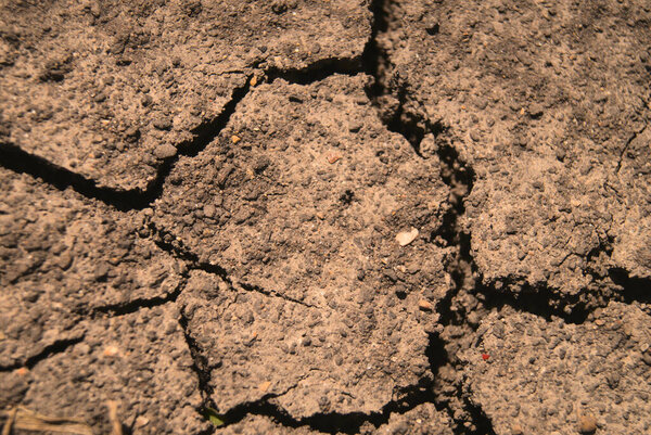 A closeup shot of a texture of dry cracked ground