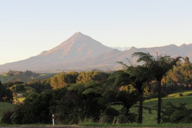 Egmont Ulusal Parkı, Yeni Zelanda 'da bir tepe manzarası