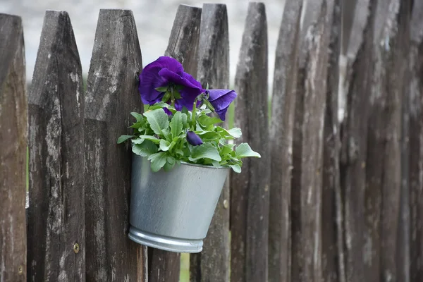 A closeup of a bucket of flowers hanging from a wooden gate