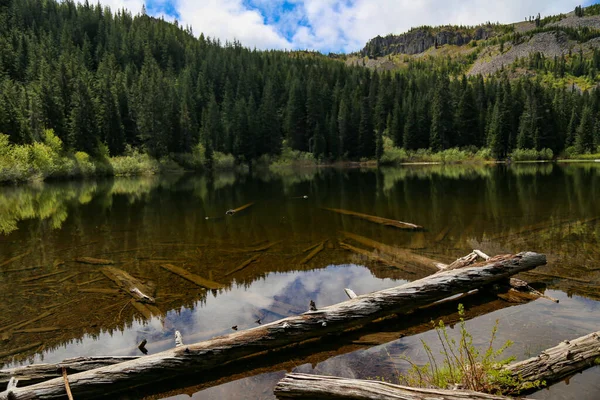 Spokojne Jezioro Przy Zielonym Lesie Tle — Zdjęcie stockowe