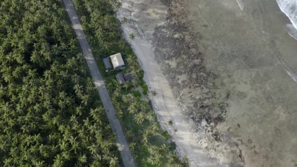 Пляжный Пейзаж Острова Сиаргао Бирюзовом Океане Филиппины — стоковое видео