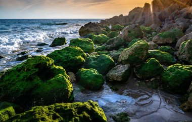 Bulutlu turuncu bir günbatımında deniz kıyısında yosunlu taşlar.